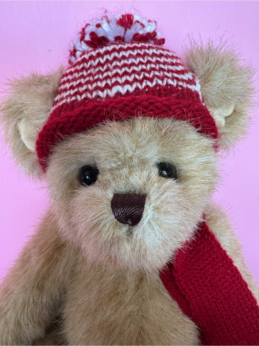 Plush Teddy Bear with Red Knit Hat & Scarf